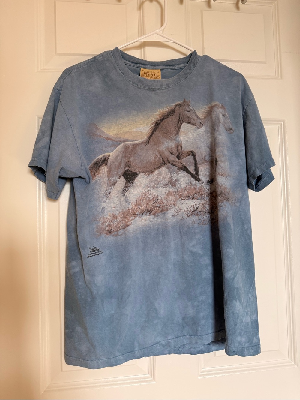 Men's The Mountain Blue Graphic Horse Print Tee